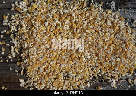 Zea mays, Maize, maize grid Stock Photo