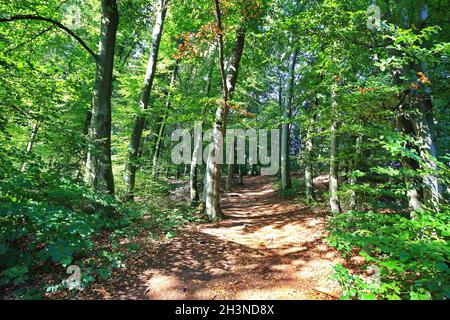 The rock gate is a sight of Emmendorf near Kinding Stock Photo