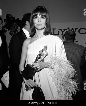 Barbara Feldon Circa 1980 s Credit Ralph Dominguez MediaPunch