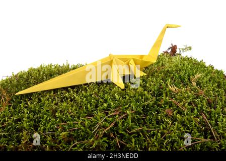 Yellow origami paper diplodocus on green moss isolated over white background Stock Photo