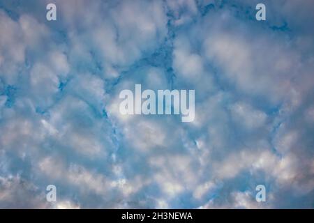 Mid level clouds called altocumulus in tile pattern. Suitable as background or wallpaper. Stock Photo