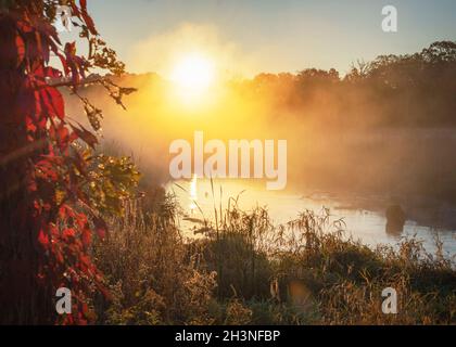 The sun peaks over the distant tree line as steam and fog collect in the marshy river basin in Waukesha County, Wisconsin on an autumn morning. Stock Photo
