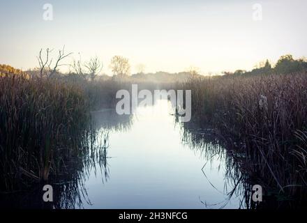 First light kisses trees in the distance as the river bottom and surrounding wetlands wake on a cold autumn morning. Stock Photo