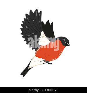 Flying bullfinch on a white background. Vector illustration Stock Vector