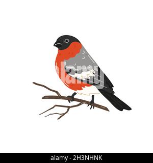 Bullfinch sitting on a tree branch. Vector illustration Stock Vector