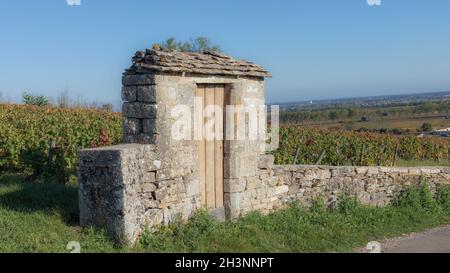 Gateway in the Burgundy region splitting the parcels against a autumn vineyard Stock Photo