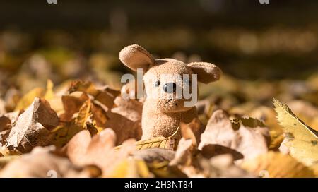 Funny cute plush dog sit on a yellow leaves in autumn forest Stock Photo
