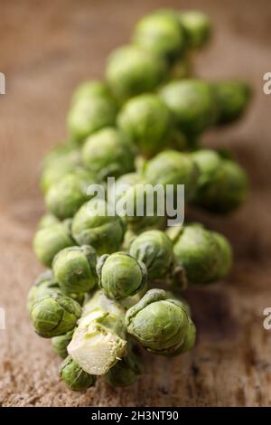 Brussels sprouts on dark wood Stock Photo