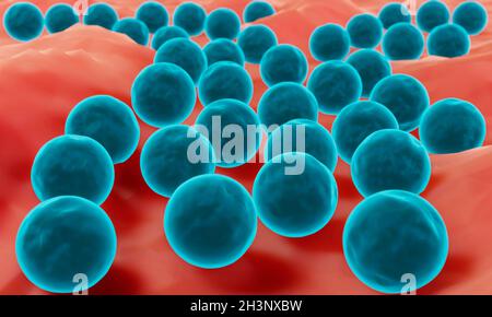 Staphylococcus illustration Stock Photo