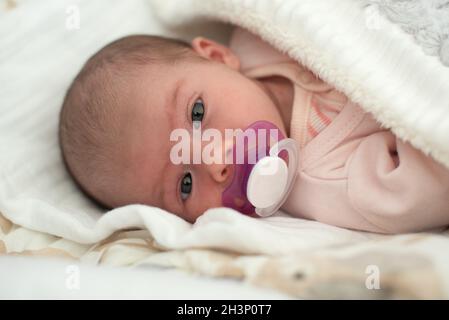 Newborn Baby Portrait, Beautiful New Born Kid sucking Pacifier. Stock Photo