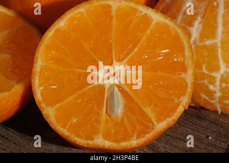 Citrus x aurantium Hernandina. Clementine, Citrus x clementina Stock Photo