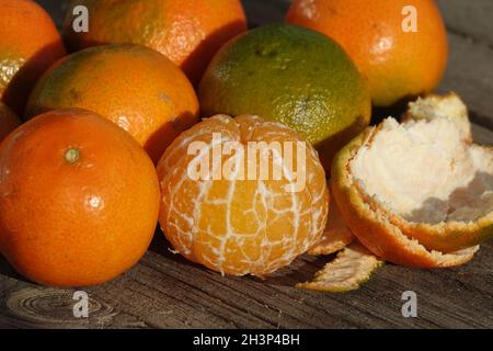 Citrus x aurantium Hernandina. Clementine, Citrus x clementina Stock Photo