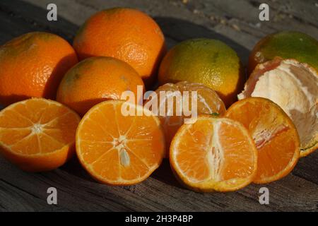 Citrus x aurantium Hernandina. Clementine, Citrus x clementina Stock Photo