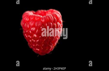 One raspberry closeup isolated on black background. Very detailed macro shoot Stock Photo
