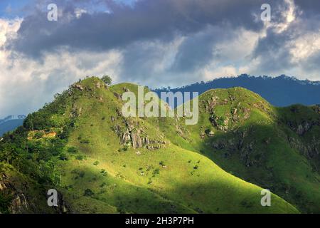 Rainforest-covered rock Stock Photo