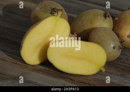 Solanum tuberosum, potato, buds Stock Photo