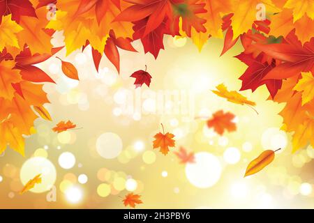 realistic autumn background vector design illustration Stock Vector