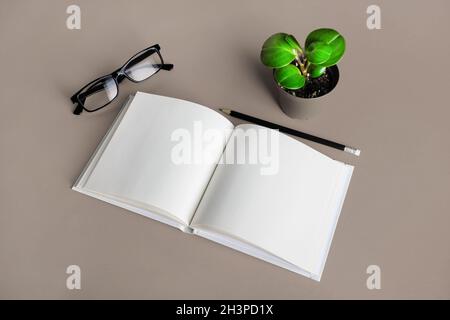 Brochure, pencil, glasses, plant Stock Photo