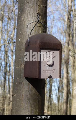 Nestbox for doormouse Stock Photo