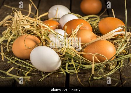 Eggs in straw Stock Photo