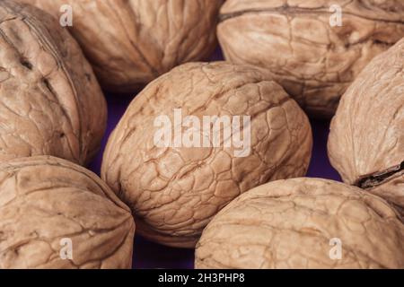 Ripe walnuts Stock Photo
