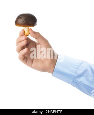Hand with mushroom Stock Photo