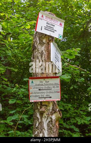 Signposting of the hiking trails in the Harz Selke Valley Stock Photo