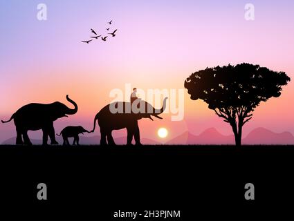 silhouette image Black elephant with Elephant mahout walking at the with mountain and sunset background Evening light vector Illustration Stock Vector