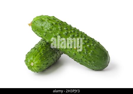 Fresh cucumbers Stock Photo