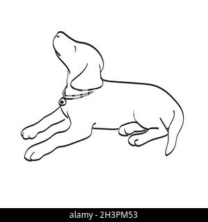 sitting dog looking up illustration vector isolated on white background line art Stock Vector