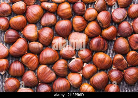 Ripe chestnuts close up. Raw Chestnuts for Christmas. Fresh sweet chestnut. Stock Photo