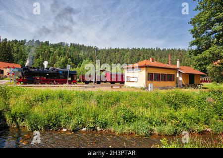 Selketalbahn near SilberhÃ¼tte in the Harz mountains Stock Photo