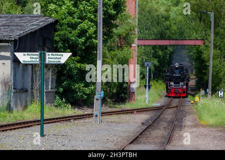 Selketalbahn near SilberhÃ¼tte in the Harz mountains Stock Photo