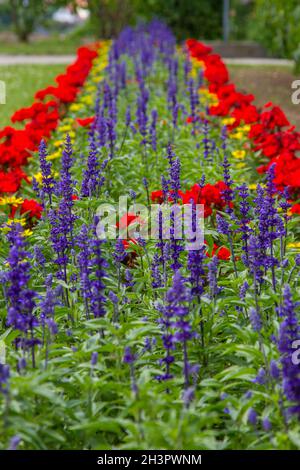 Pictures from the Blankenburg Harz Castle Park Stock Photo