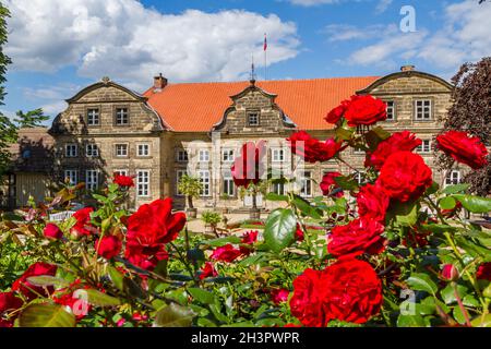 Pictures from the Blankenburg Harz Castle Park Stock Photo