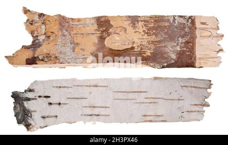 Birch bark isolated on white background Stock Photo