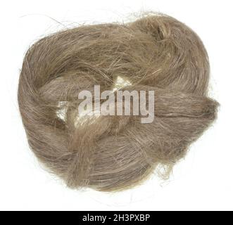 Flax isolated on white background Stock Photo