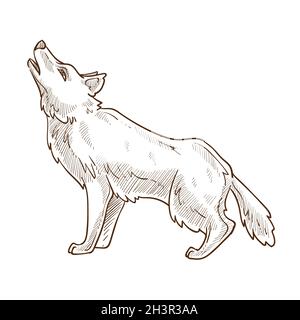 Wild animal, wolf howling at moon isolated sketch Stock Vector