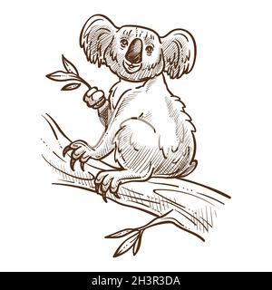 Australian symbol, koala bear on tree branch eating eucalyptus Stock Vector