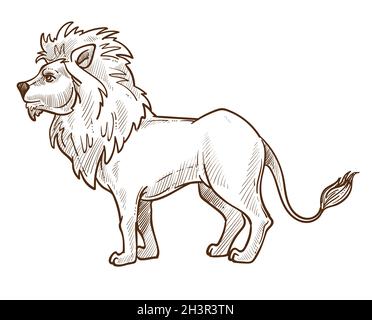 Wild cat, lion isolated sketch, African fauna animal Stock Vector