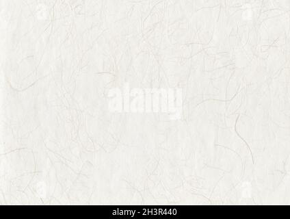 White paper background hi-res stock photography and images - Alamy