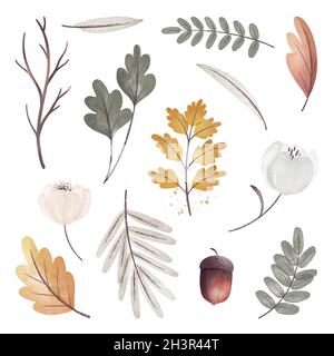 watercolor autumn forest set element vector design illustration Stock Vector