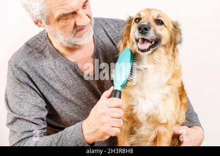 Friends forever: man brushing his lovely dog. Spa time Stock Photo