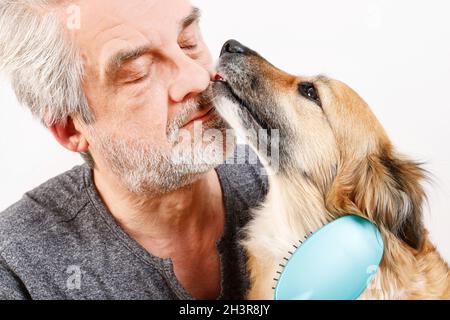 Friends forever: man brushing his lovely dog. Spa time Stock Photo