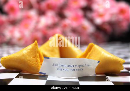 Fortune Cookie Stock Photo
