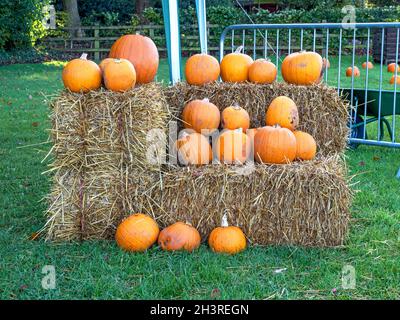 Pumpkins arranged on haystacks in a field Stock Photo