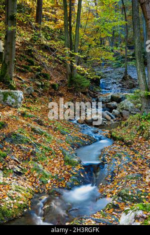 Autumn sunrise in the valley of Ninglinspo, which is classed as an outstanding heritage area of Wallonia. The stream forms rapids around various pools Stock Photo