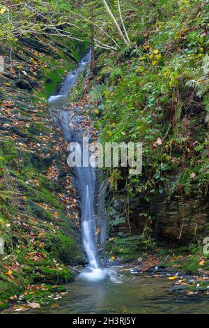 Autumn sunrise in the valley of Ninglinspo, which is classed as an outstanding heritage area of Wallonia. The stream forms rapids around various pools Stock Photo