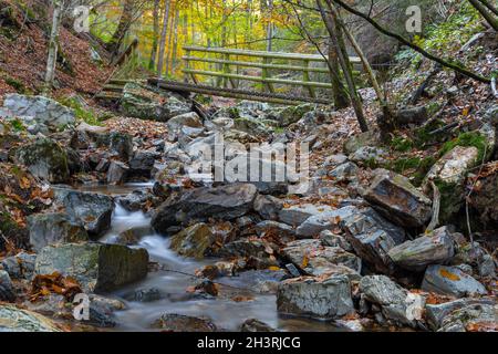 Autumn sunrise in the valley of Ninglinspo, which is classed as an outstanding heritage area of Wallonia. The stream forms rapids around various pools Stock Photo