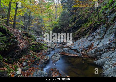 Autumn sunrise in the valley of Ninglinspo, which is classed as an outstanding heritage area of Wallonia. The stream forms rapids around various pools Stock Photo